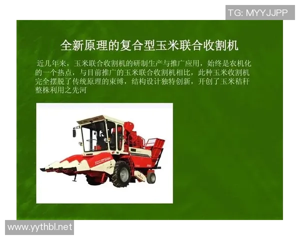 乒乓球技术与战术的创新发展及其在全球范围内的推广应用研究 乒乓球技术与战术的创新发展及其在全球范围内的推广应用研究