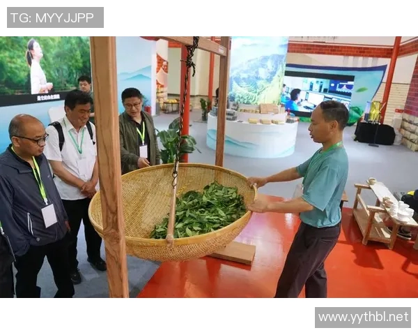 茶文化体验中心打造与创新探索提升茶产业发展新动能 茶文化体验中心打造与创新探索提升茶产业发展新动能