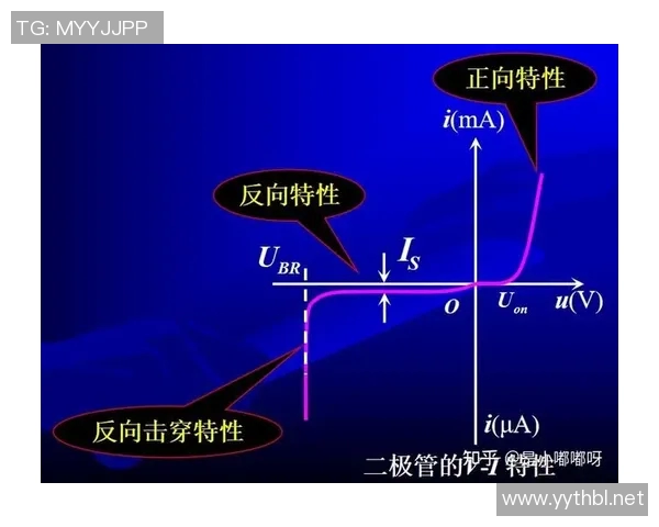 杭州排球队灵活性分析与战术创新的深度探讨 杭州排球队灵活性分析与战术创新的深度探讨